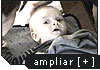 Ampliar foto de Alberto Ni&ntilde;o Rom&aacute;n