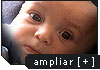 Ampliar foto de Alberto Ni&ntilde;o Rom&aacute;n
